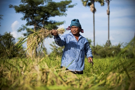 farmer in Cambodia